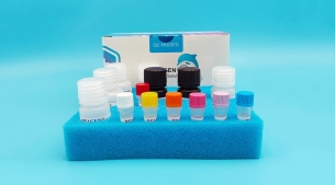 AAV8 Titration ELISA Test Kit